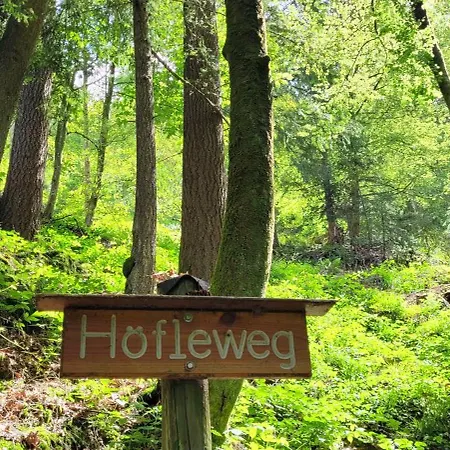 Hoeflehube Apartmán Oppenau